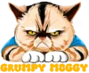 Grumpy Moggy